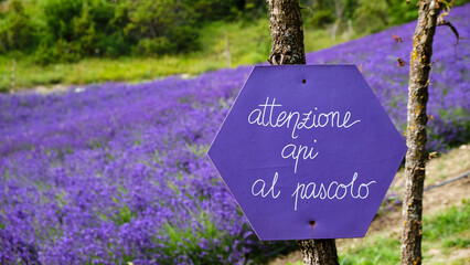 Foto scattata a Vendersi in Val Borbera. Il borgo famoso per gli spaventapasseri e per i campi di lavanda.