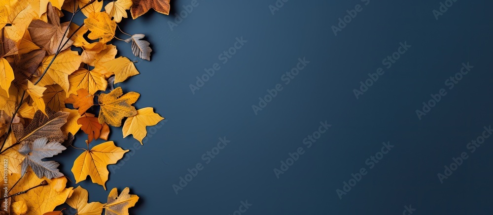 Poster top view of a vintage background with a structured blue backdrop on the left side, framed by autumn 