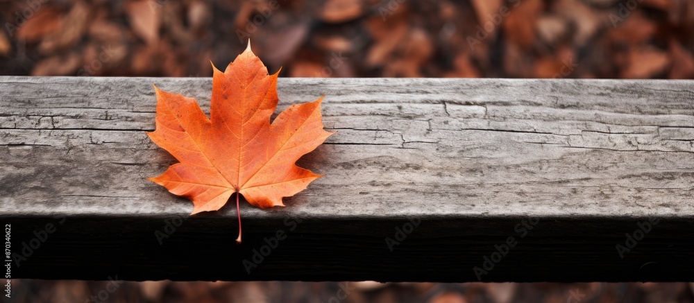 Poster copy space image with an autumnal orange leaf resting on a wooden bench.