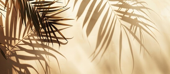 Obraz premium Copy space image of monochrome summer mockup featuring palm leaves on a beige backdrop, illuminated by sunlight.