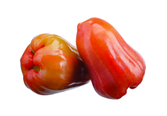 rose apple isolated on white background