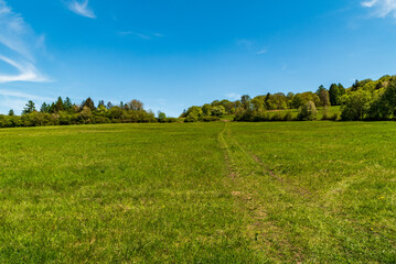 Springtime meadow with trail and trees in Bile Karpaty mountains in Czech republic