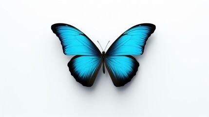 Vibrant, glittery butterfly isolated on white background for eyecatching visual content.