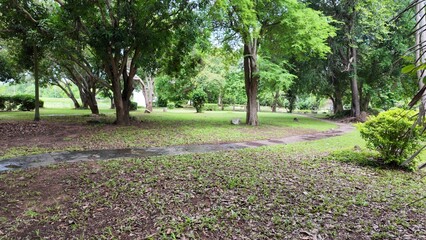 Obraz premium Park with trees, bushes and lawn. A lake, an Asian-style pavilion and hills.