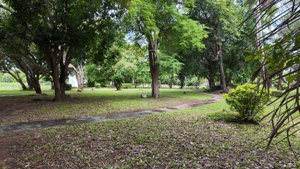 Park with trees, bushes and lawn. A lake, an Asian-style pavilion and hills.