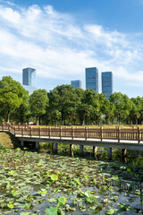 Lakeside modern office building in China