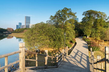 spring park and modern city