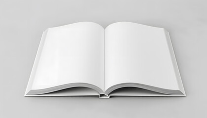 Fototapeta premium mockup book