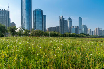 flower field in park at city center and modern city