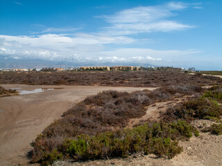 Paraje Natural Punta Entinas-Sabinar, catalogado como Espacio Natural Protegido. Roquetas de Mar,...