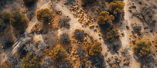 A bird's-eye perspective of arid terrain with copy space image.