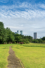 spring park and modern city
