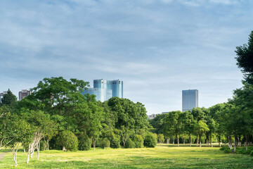 city park with modern building background in shanghai
