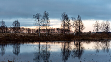 landscape with a flooded lake, dark silhouettes of trees in the backlight, reflections of trees in...