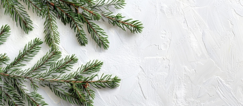 Poster side view of a fluffy spruce christmas branch on a light white wooden backdrop with ample copy space