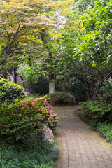 The road of City Park in China