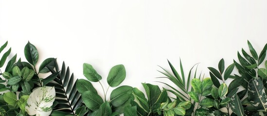Naklejka premium Copy space image featuring tropical green leaves and branches on a white background, creating a lush foliage backdrop.