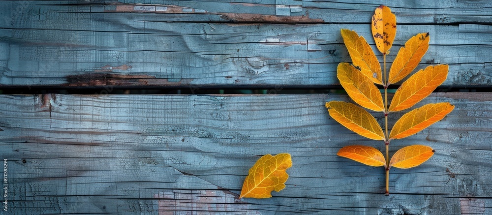 Poster an autumn mahonia leaf with copy space image on weathered wooden backdrop.