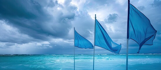 Triangular blue flags fluttering in the wind under cloudy skies on a tropical beach, set against a copy space image.