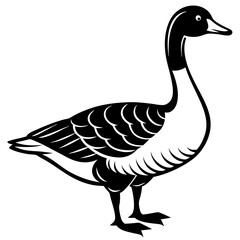Vector Illustration of Duck