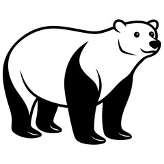 White Bear Vector Illustration