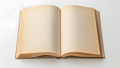 Fototapeta premium mockup book