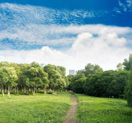 Beautiful panorama of green city park