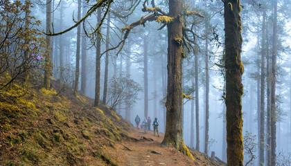 Panoramic landscape of beautiful forest in fog during hike of group of tourists with backpacks walking along mountain trail in Langtang National Park, Nepal.