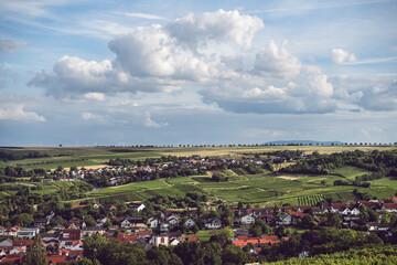 Bleichkopf, Jugenheim, Rheinhessen, Juli 2024