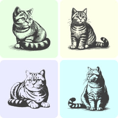 Sketched Cat Vector Illustrations