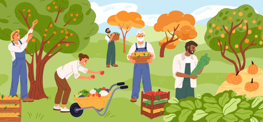 Happy farmers at harvest. Gardeners collect fruits. People pick berries. Agriculture workers growing vegetables. Garden crop. Person puts tomatoes in wheelbarrow. Garish vector concept