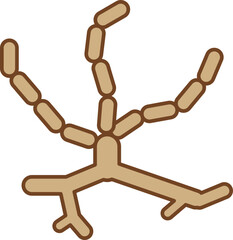 Aqtinomycetes Icon Soil Microorganism