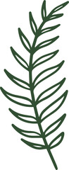Handdrawn Fern illustration