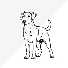 Fototapeta premium Line art Dog vector design.