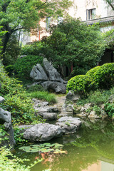 Chinese traditional stone garden. Green plants and rocks