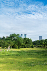 Obraz premium Beautiful panorama of green city park