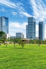 city park with modern building background in shanghai