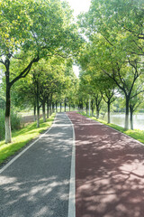 Obraz premium New pathway and beautiful trees track for running or walking and cycling relax in the park
