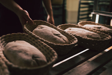 raw bread in basket in a traditional bakery