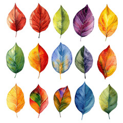 Obraz premium Colorful autumn leaves illustration in various shades and patterns. Perfect for seasonal design and decoration projects.