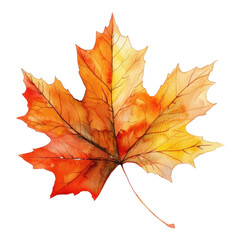 Obraz premium Vibrant watercolor painting of an autumn maple leaf showcasing its beautiful orange, red, and yellow hues.