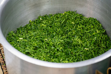 A close-up captures a large quantity of freshly grated pandan leaves piled high in a metal pot, ready for use. 