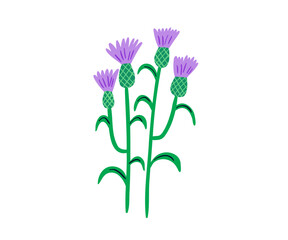Burdock is hand drawn. Wild plants, garden, flowers. Vector illustration in flat style.