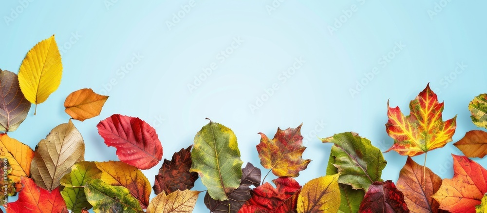 Poster Autumn leaves in various colors creating a border against a blue sky, perfect for copy space image.