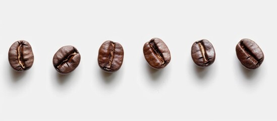 Coffee beans displayed separately on a plain white backdrop with room for additional image elements.