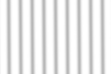 Obraz premium Plant shadow png, Botanical shadow in transparent background, design palm tropical leaves. Black and white branch shadow overlay effect. For business cards,