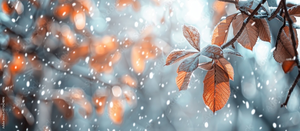 Poster nature background featuring a blurred leaf pattern suited for winter concepts, with ample copy space