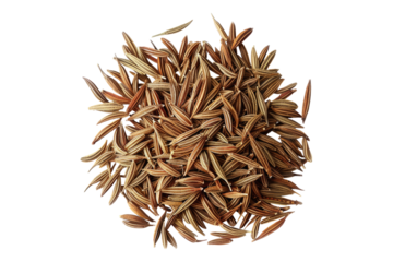 Pile of cumin seeds isolated on transparent background