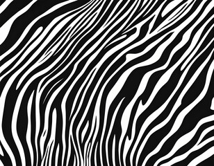 Black and white zebra skin. Black strip animal jungle texture zebra background.