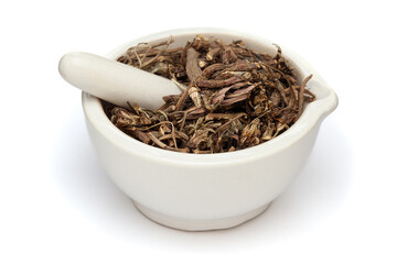 Close-up of Dry Organic Pellitory roots (Anacyclus pyrethrum), in white ceramic mortar and pestle, isolated on a white background.